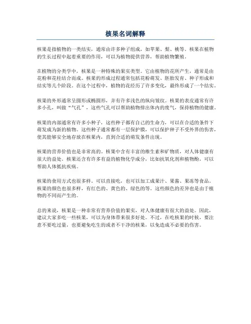 核果名词解释