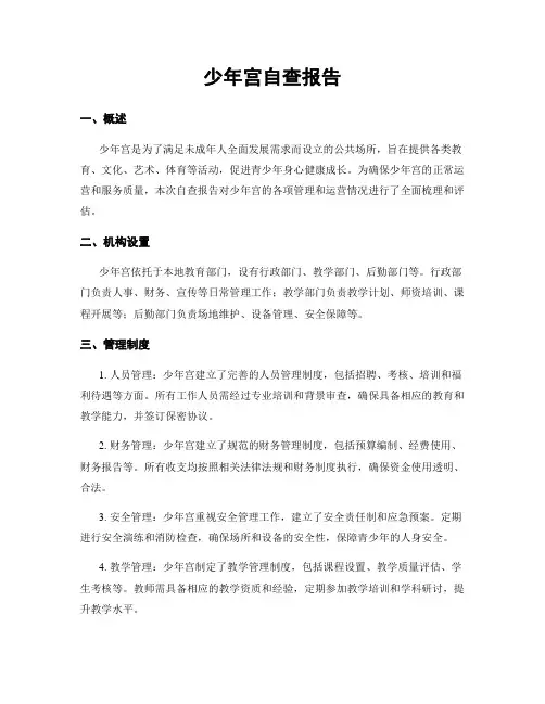 少年宫自查报告