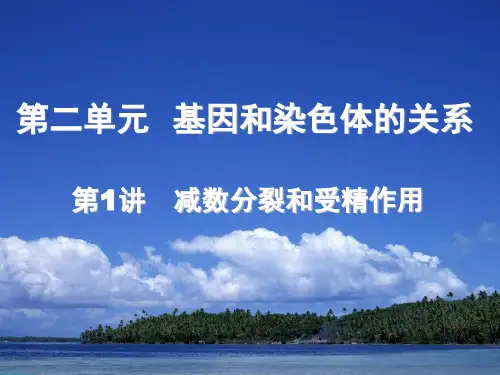 高中生物减数分裂和_受精作用