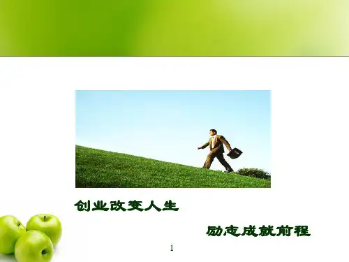 创业政策PPT课件