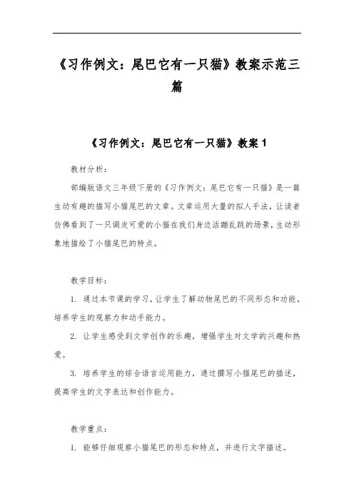 《习作例文：尾巴它有一只猫》教案示范三篇