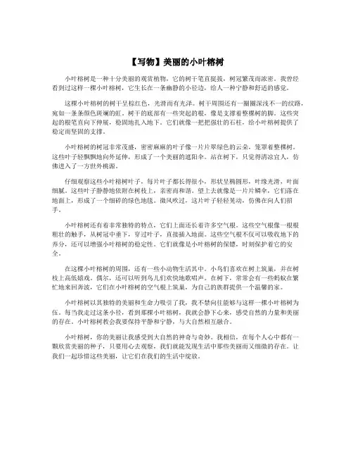 【写物】美丽的小叶榕树