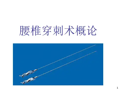 腰椎穿刺术优质精品PPT课件