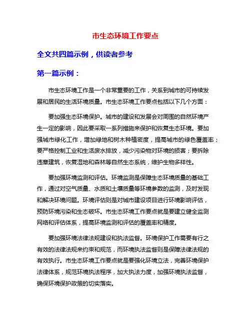 市生态环境工作要点