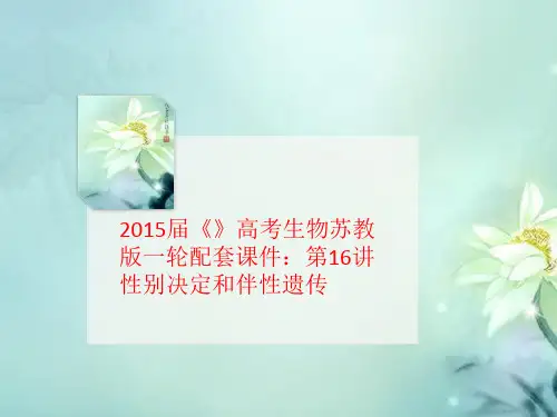 2015届《》高考讲义生物苏教版一轮配套课件：第16讲性别决定和伴性遗传