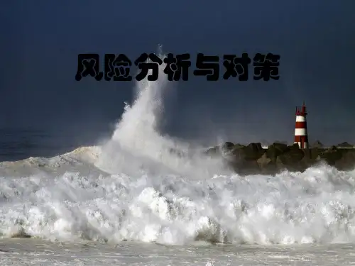风险分析与对策PPT