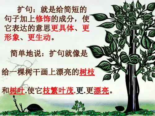 五年级语文《缩句、扩句》