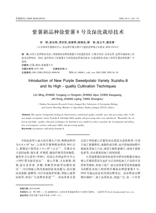 紫薯新品种徐紫薯8号及保优栽培技术