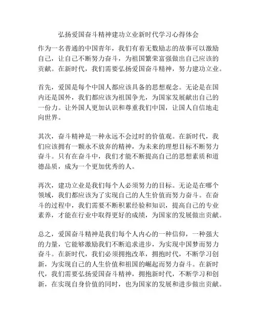 弘扬爱国奋斗精神建功立业新时代学习心得体会