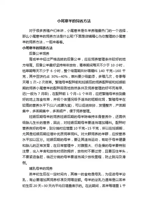 小尾寒羊的饲养方法