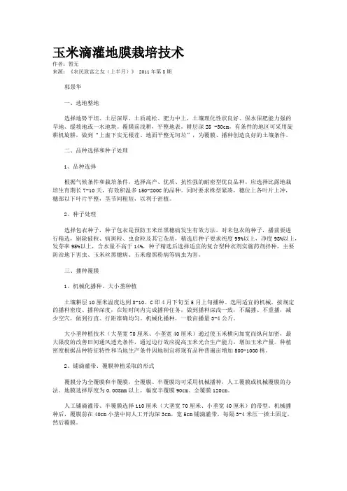玉米滴灌地膜栽培技术