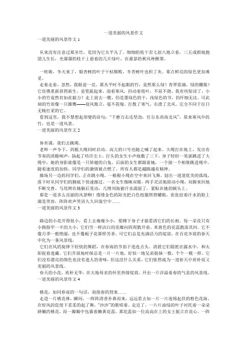 一道美丽的风景作文