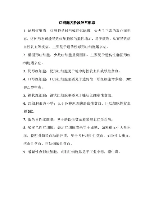红细胞各阶段异常形态