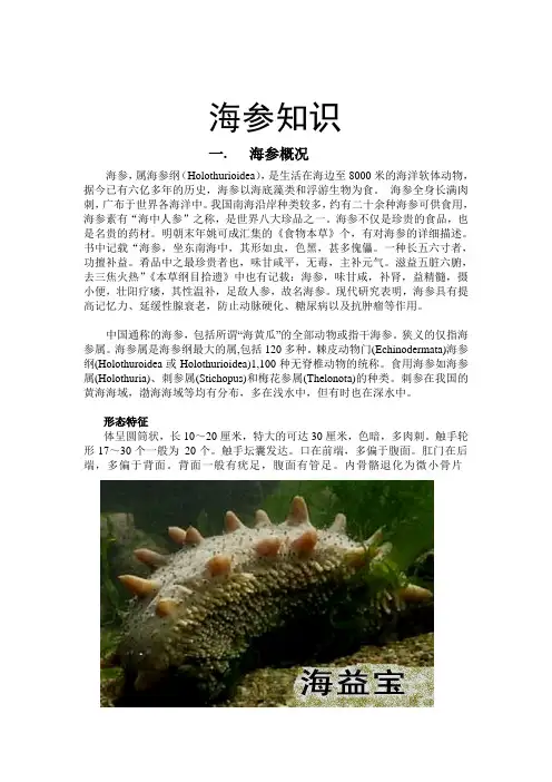 海参养殖培训资料
