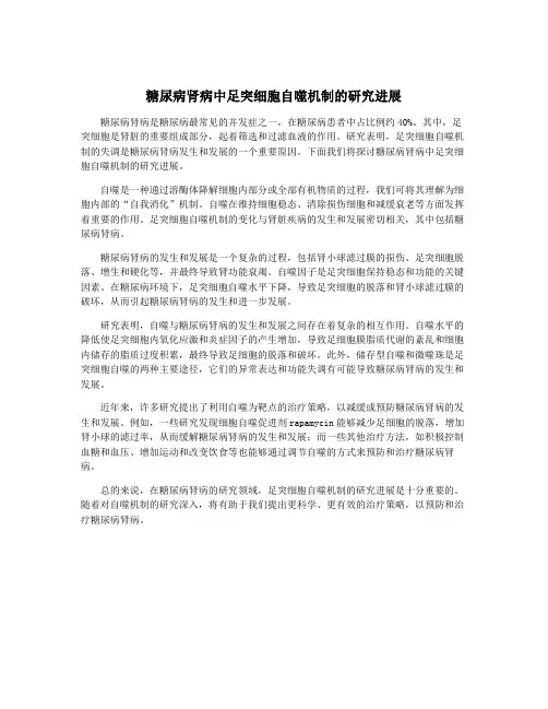 糖尿病肾病中足突细胞自噬机制的研究进展