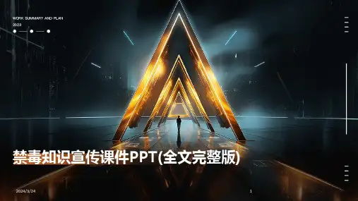 2024年度禁毒知识宣传课件PPT(全文完整版)