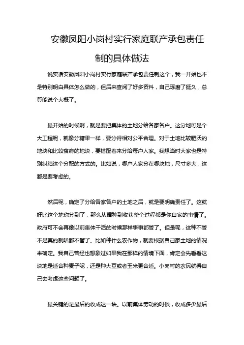 安徽凤阳小岗村实行家庭联产承包责任制的具体做法