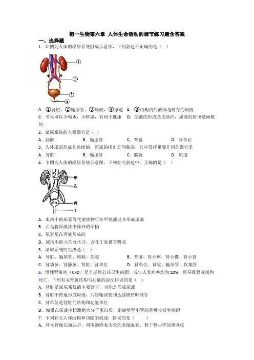 初一生物第六章 人体生命活动的调节练习题含答案