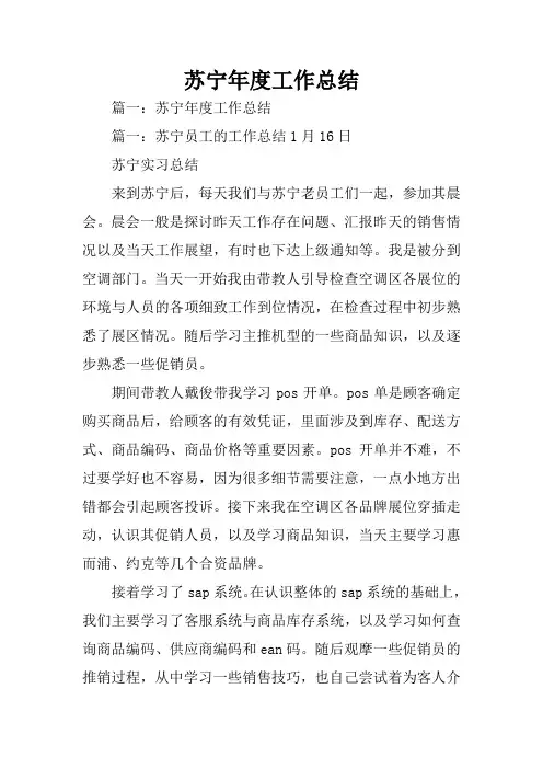 苏宁年度工作总结