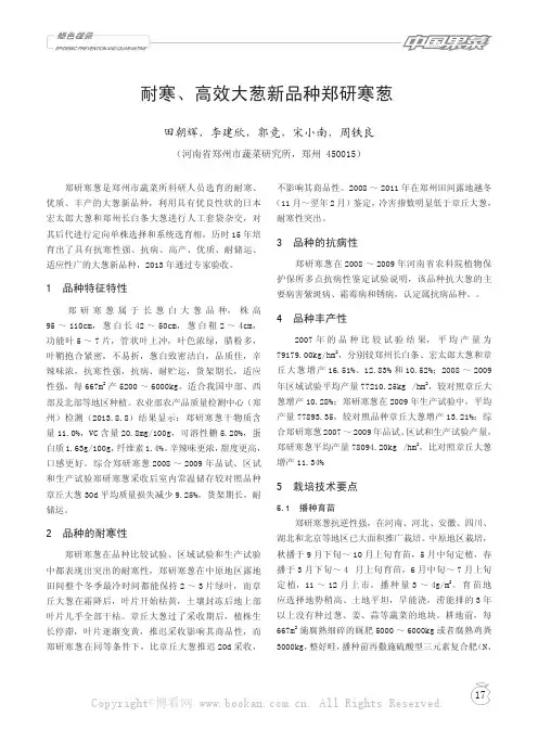 耐寒、高效大葱新品种郑研寒葱