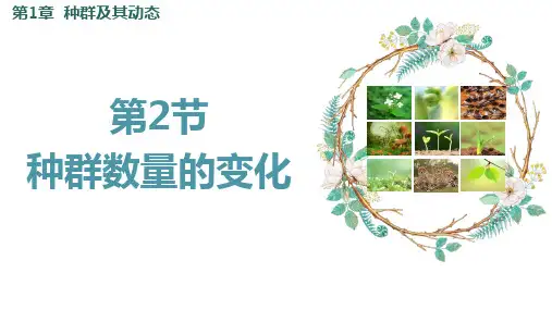 【课件】+种群数量的变化课件高二上学期生物人教版选择性必修2