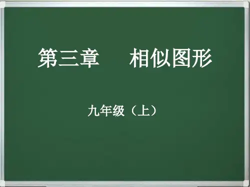 九年级数学上册第三章     相似图形(同步+复习)串讲精品课件