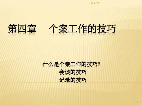 《个案工作的技巧》PPT课件