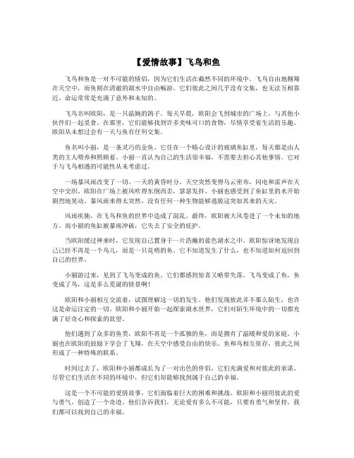 【爱情故事】飞鸟和鱼