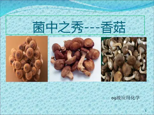 香菇 香菇多糖 提取 纯化 检测 含量测定及表征