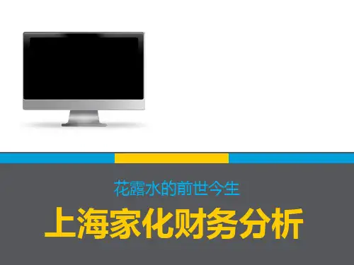 上海家化分析概要