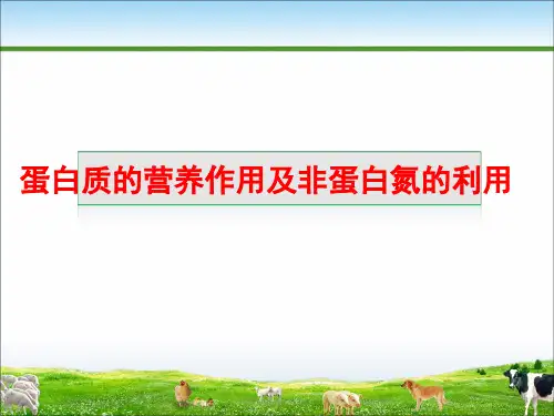 蛋白质的营养作用及非蛋白氮的利用课件(共34张PPT)《畜禽营养与饲料(第三版)》(高教版)