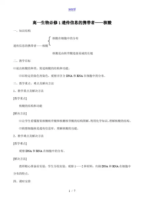 高一生物必修1 遗传信息的携带者——核酸
