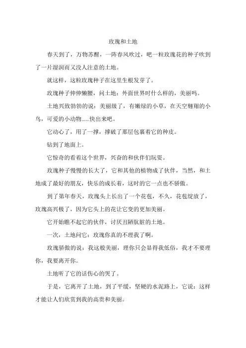 玫瑰和土地-作文