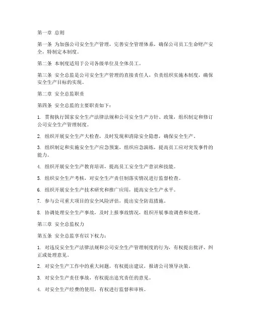 安全总监管理制度规范