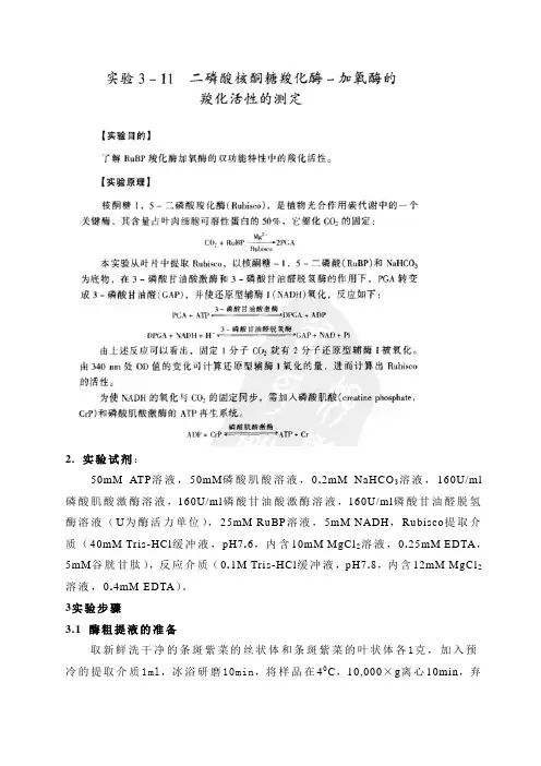 pepc酶活的测定.