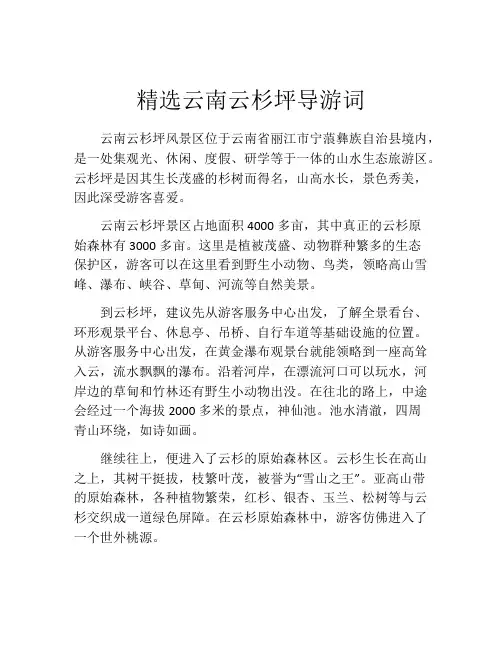 精选云南云杉坪导游词