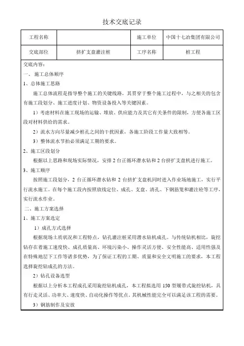 挤扩支盘灌注桩技术交底