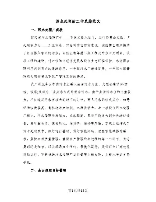 污水处理的工作总结范文（3篇）