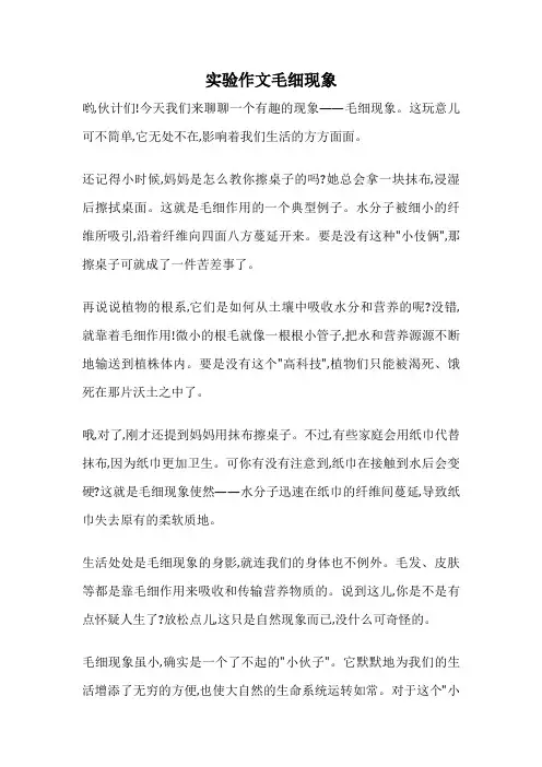实验作文毛细现象