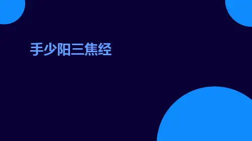 (医学课件)手少阳三焦经