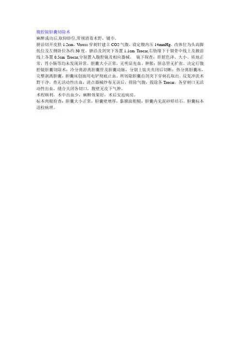腹腔镜胆囊切除术 (2)
