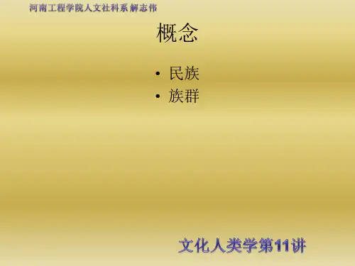 文化人类学族群