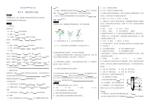 生物济南版八年级上册根的结构与功能 学案