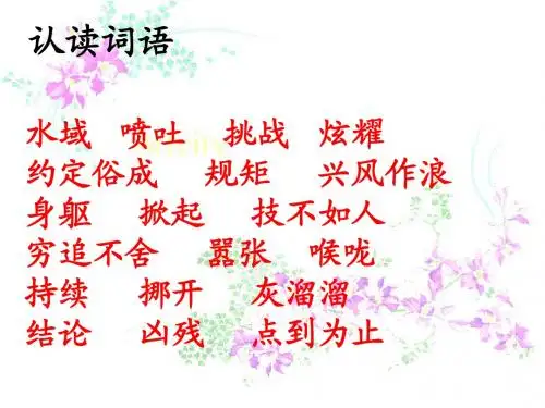 22_鳄鱼的争斗