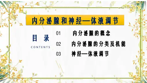 内分泌系统PPT课件