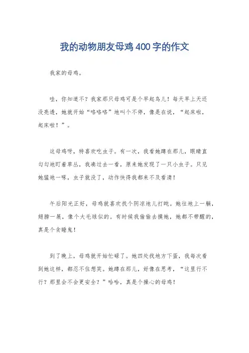 我的动物朋友母鸡400字的作文