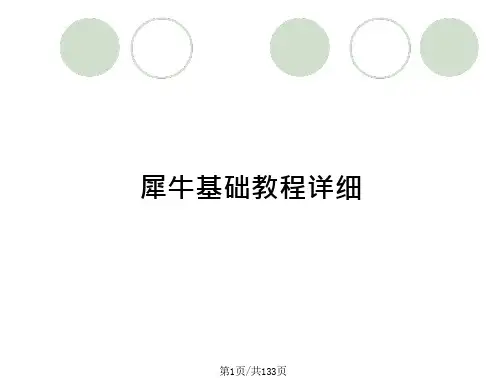 犀牛基础教程详细