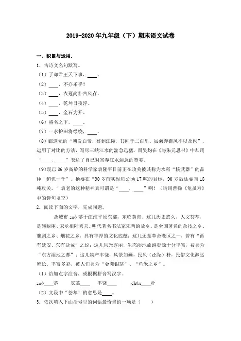 2019-2020年九年级(下)期末语文试卷