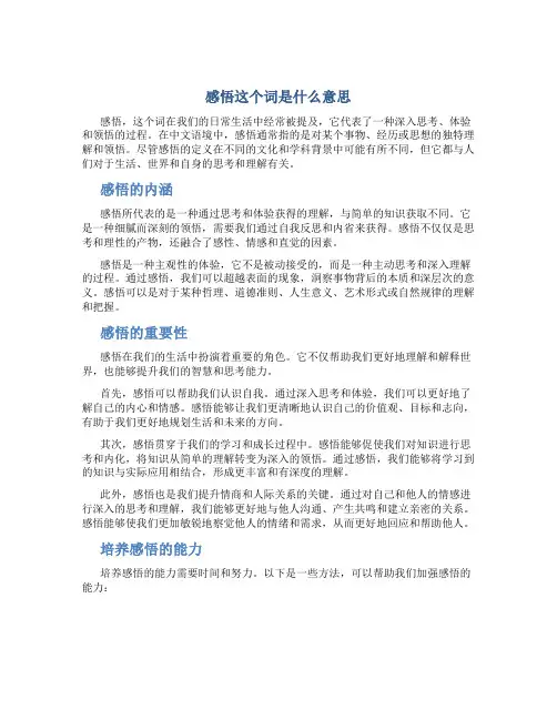 感悟这个词是什么意思