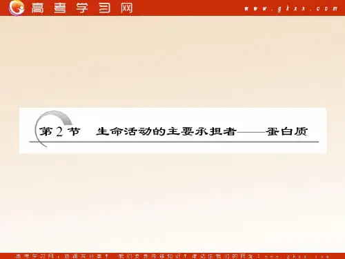 生物一轮复习必修1第2章第2节生命活动的主要承担者蛋白质